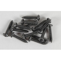 FG 06716/22 Pan-head tap.screws, 4.2x22mm, 15pcs.