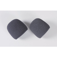 FG 09466/06 Foam Filter Oiled, 2pcs.