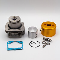 ZENOAH G290PUM 29cc 36mm Topend Rebuild Kit.